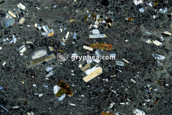 Rhyolite Santorin LPA x4 - gryphea.com